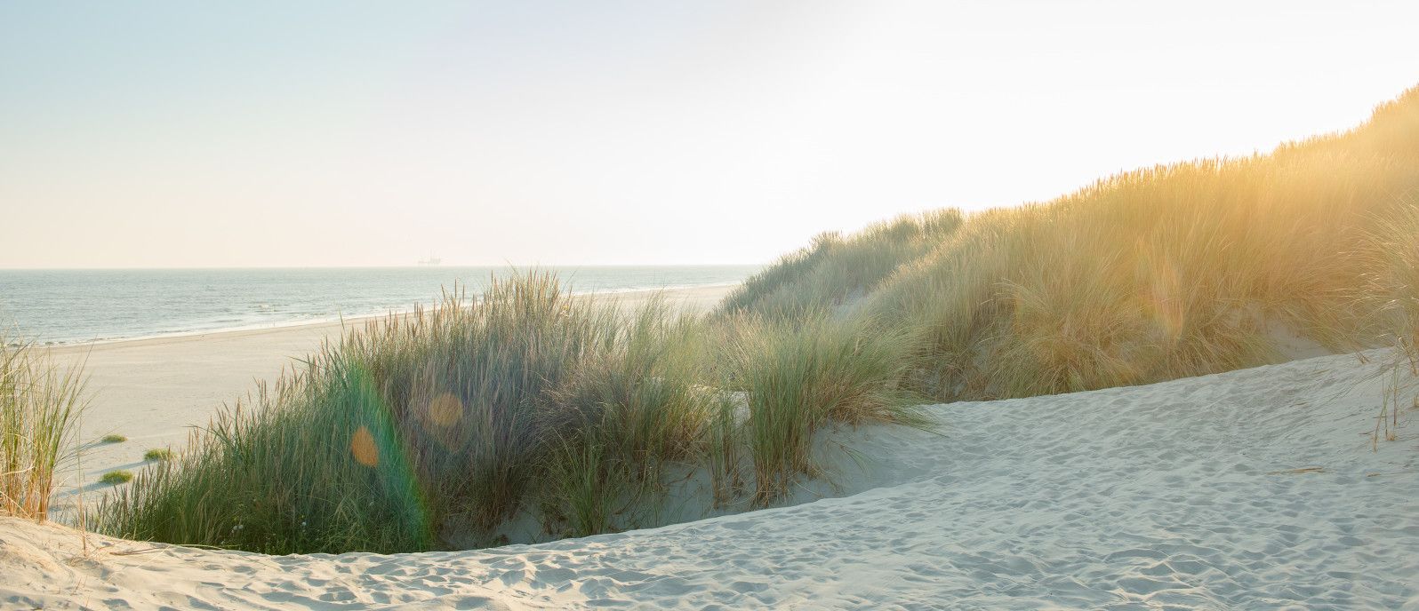 Vakantiepakket - webshop VVV Ameland