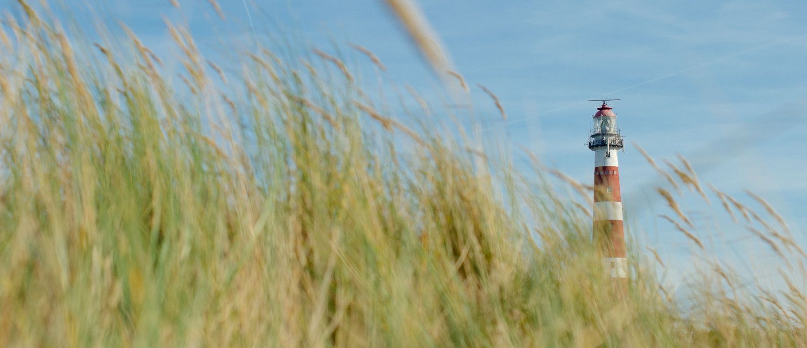Dagarrangement Ameland - webshop VVV Ameland
