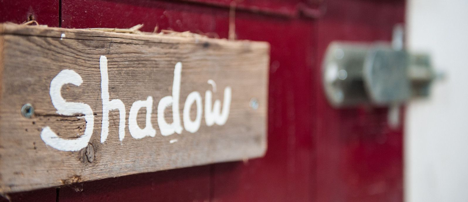 Tickets rondleiding filmset Penny's Shadow - webshop VVV Ameland