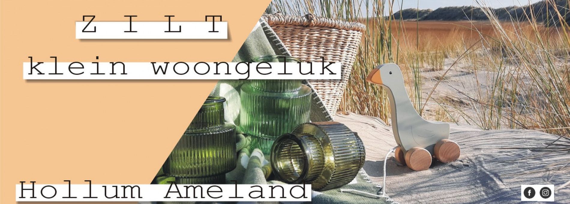 Zilt klein woongeluk - VVV Ameland