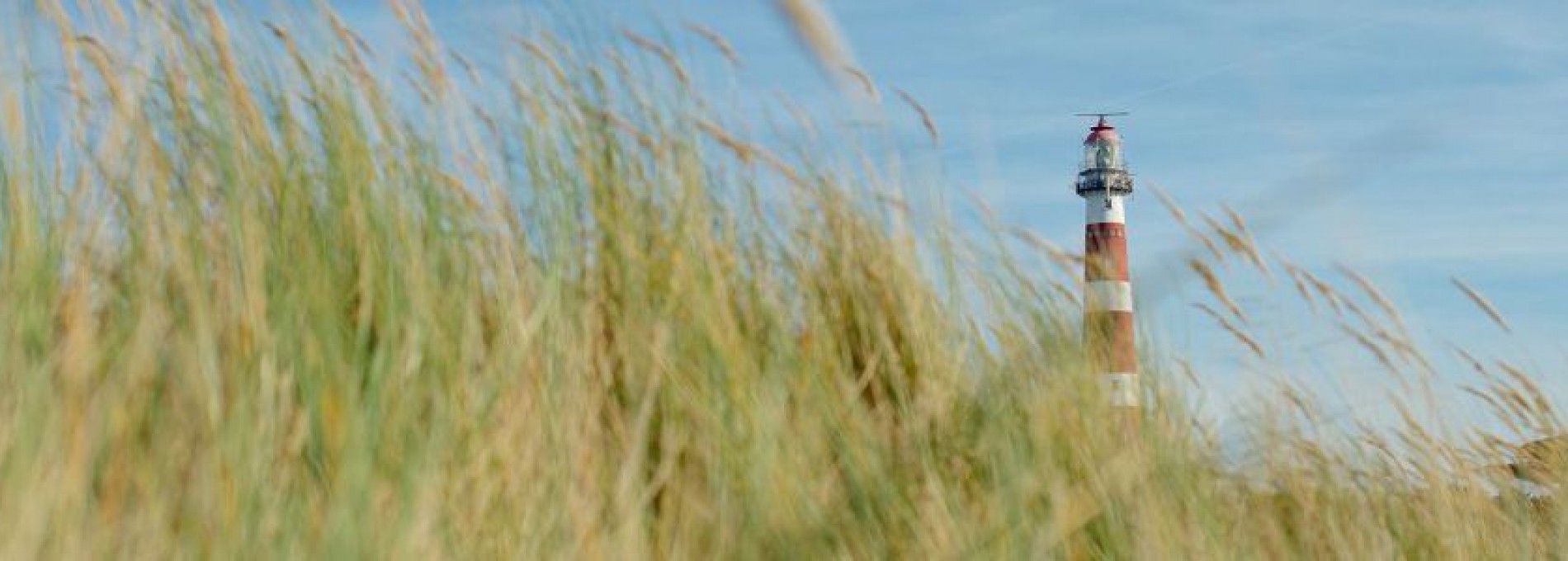 Amelands Produkt - VVV Ameland