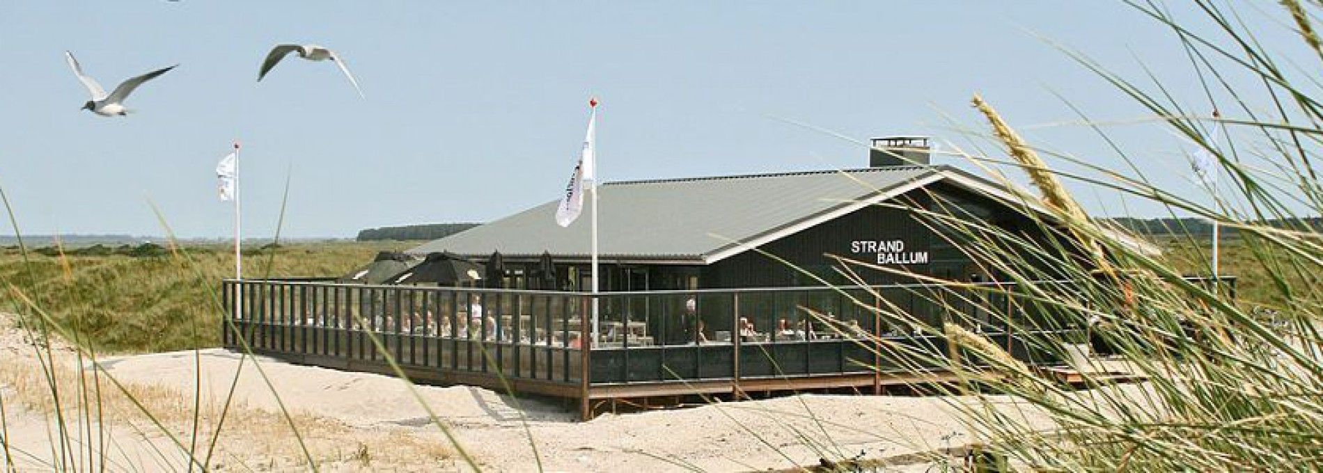 Strandpaviljoen Ballum - VVV Ameland
