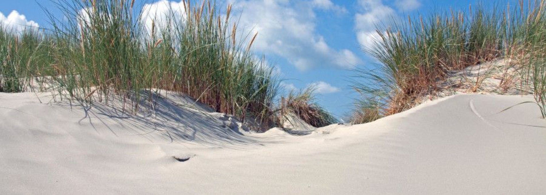 Het ontstaan van Ameland
