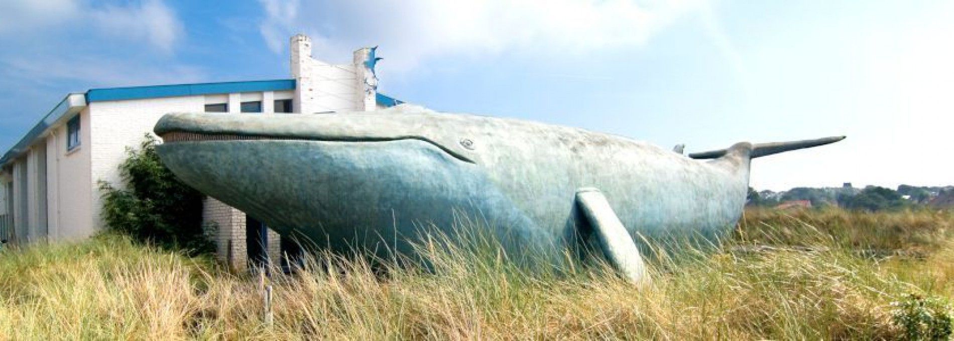 Walvisvaart - VVV Ameland