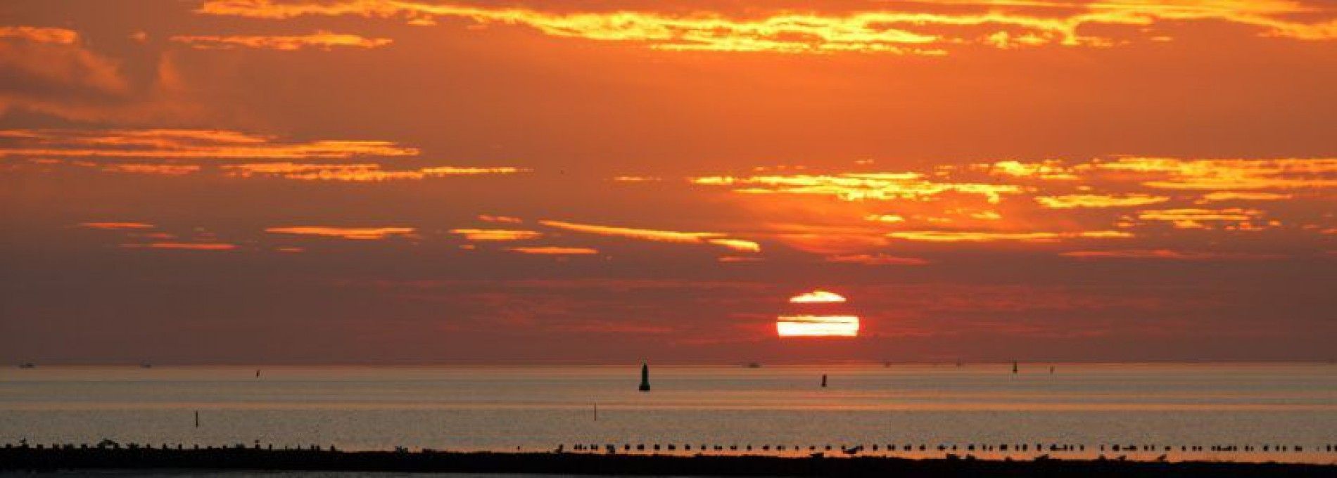 Het Wad - VVV Ameland