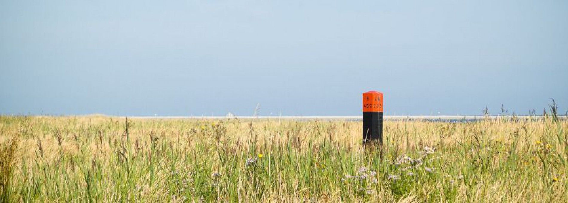 Groene strand op Ameland