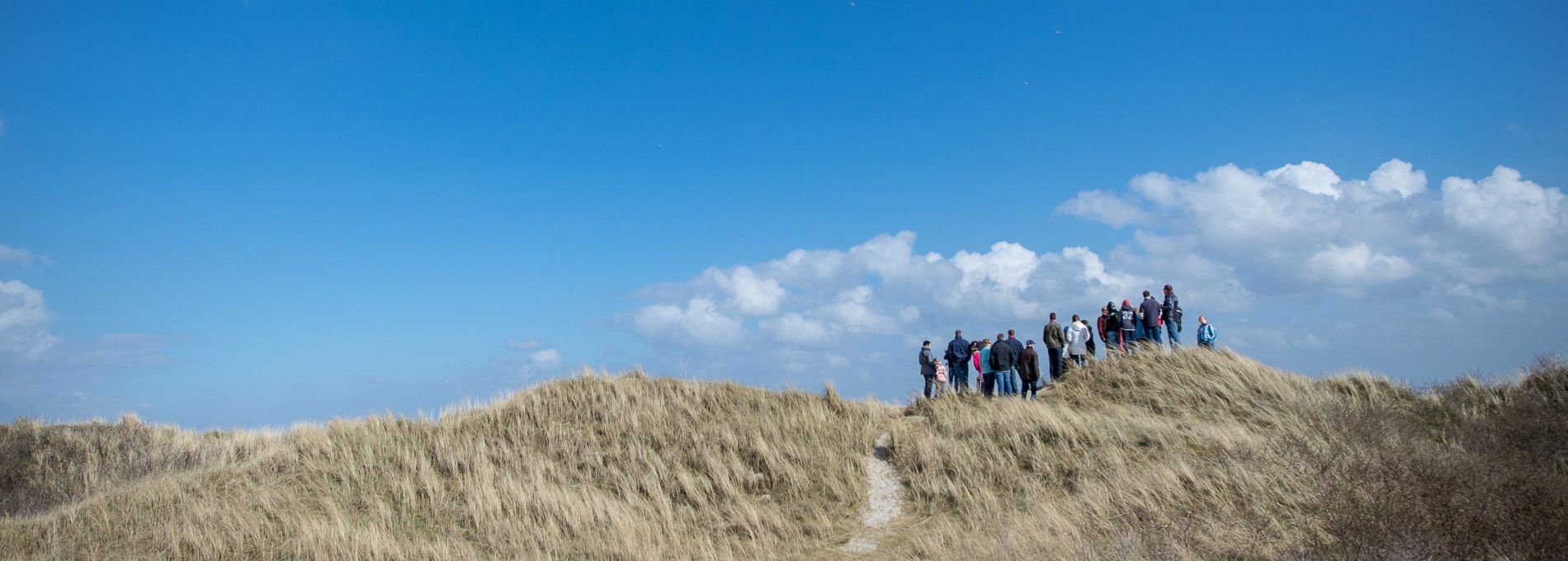 Programma VVV Ameland - VVV Ameland