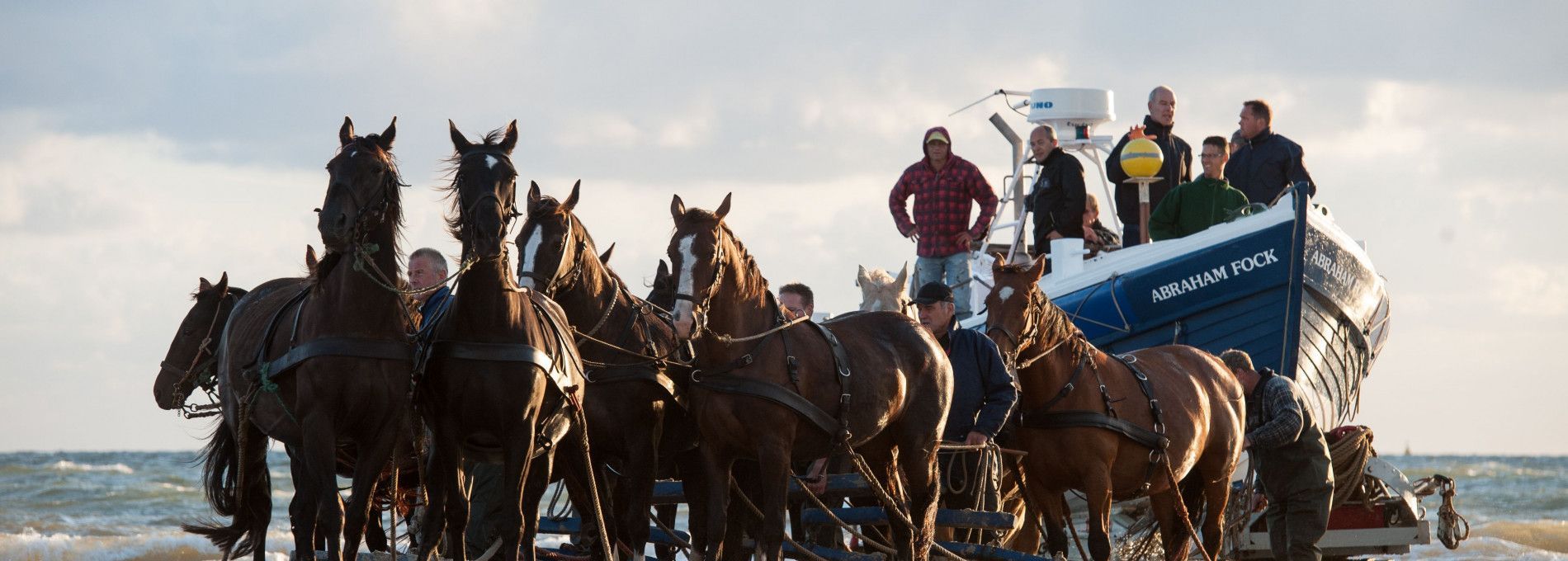 Meerjaren Marketing en Promotie Strategie - VVV Ameland
