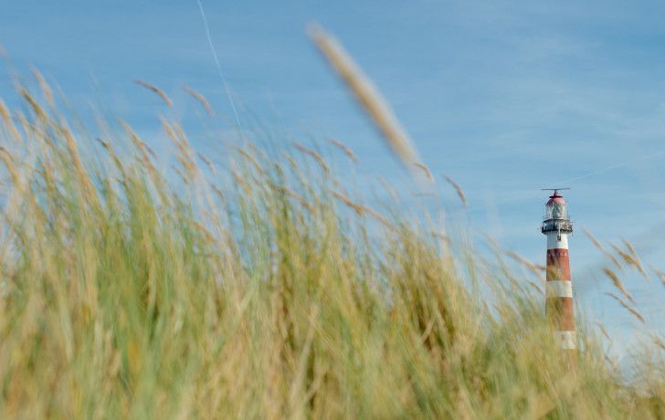 Dagarrangement - VVV Ameland