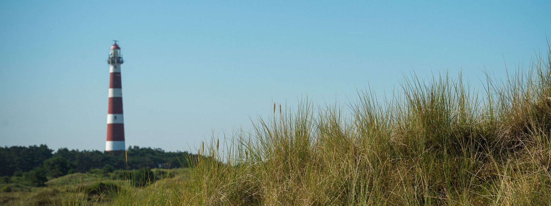VVV Ameland