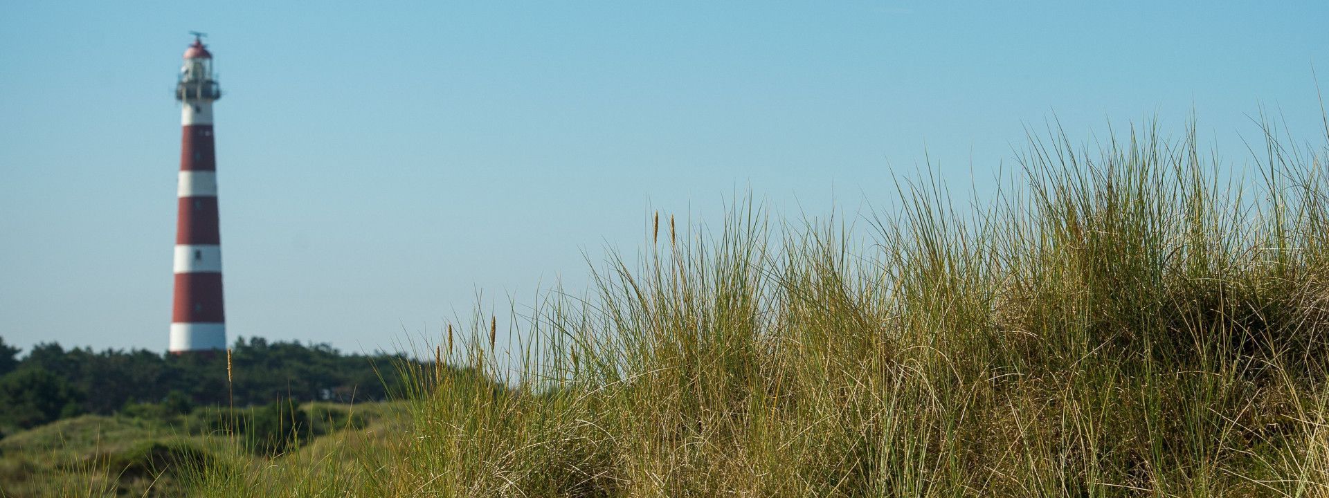 VVV Ameland