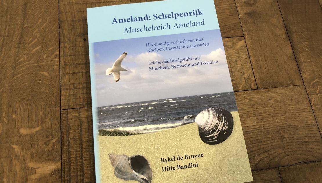 Ameland: schelpenrijk - webshop VVV Ameland