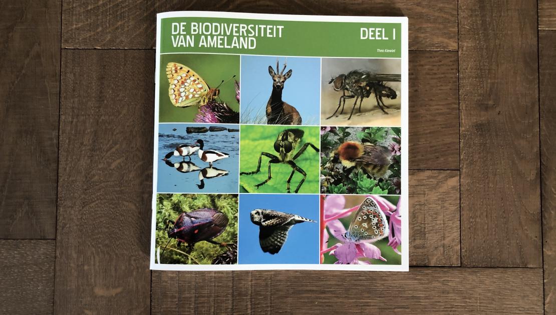 De biodiversiteit van Ameland - webshop VVV Ameland