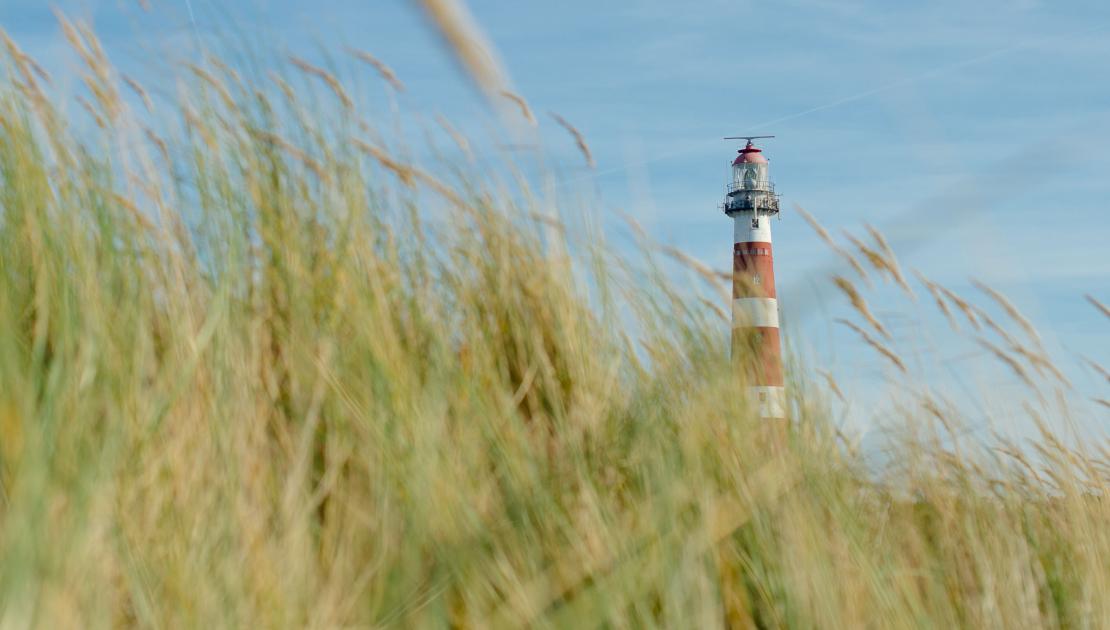 Dagarrangement Ameland - webshop VVV Ameland