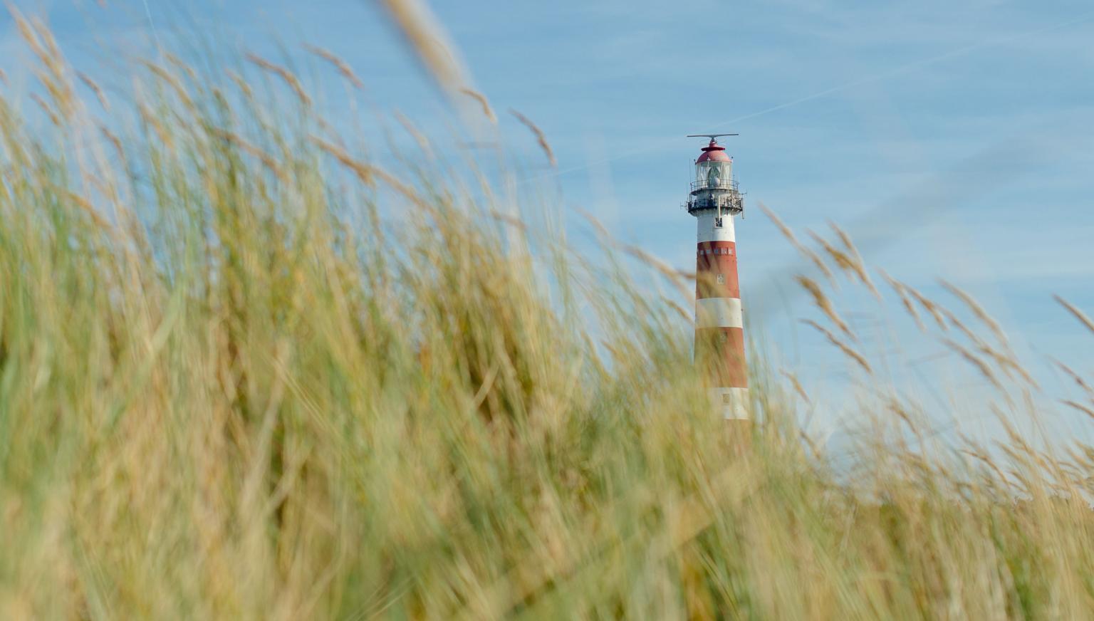 Dagarrangement Ameland - webshop VVV Ameland