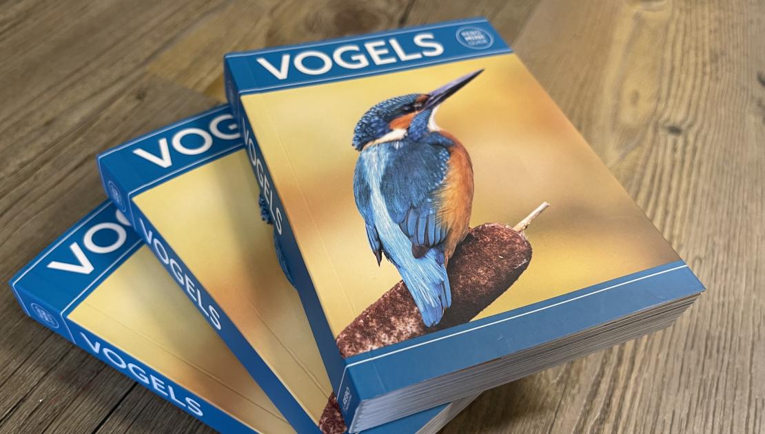 Mini Guide Vogels - Webshop VVV Ameland