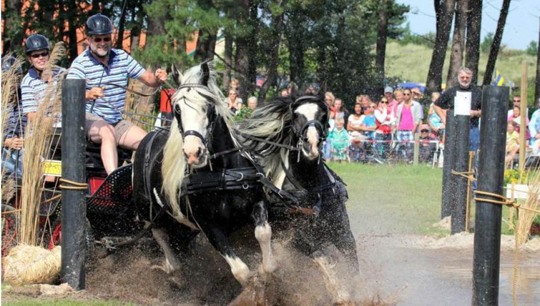 Paardenmarathon - VVV Ameland