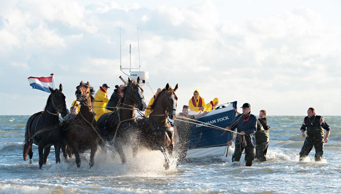 Demonstratie paardenreddingboot - VVV Ameland