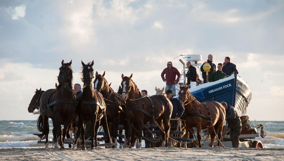 Demonstratie paardenreddingboot - VVV Ameland