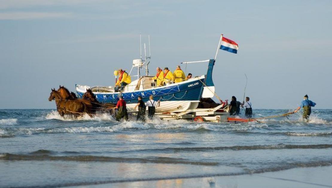 Demonstratie paardenreddingboot - VVV Ameland