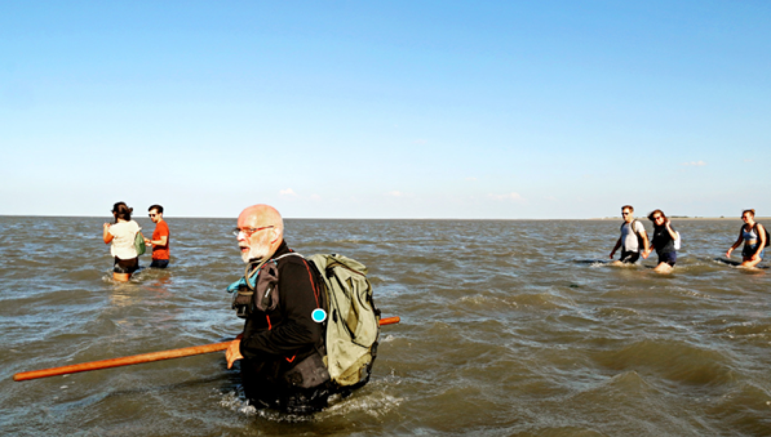 Wadlopen op maat - VVV Ameland