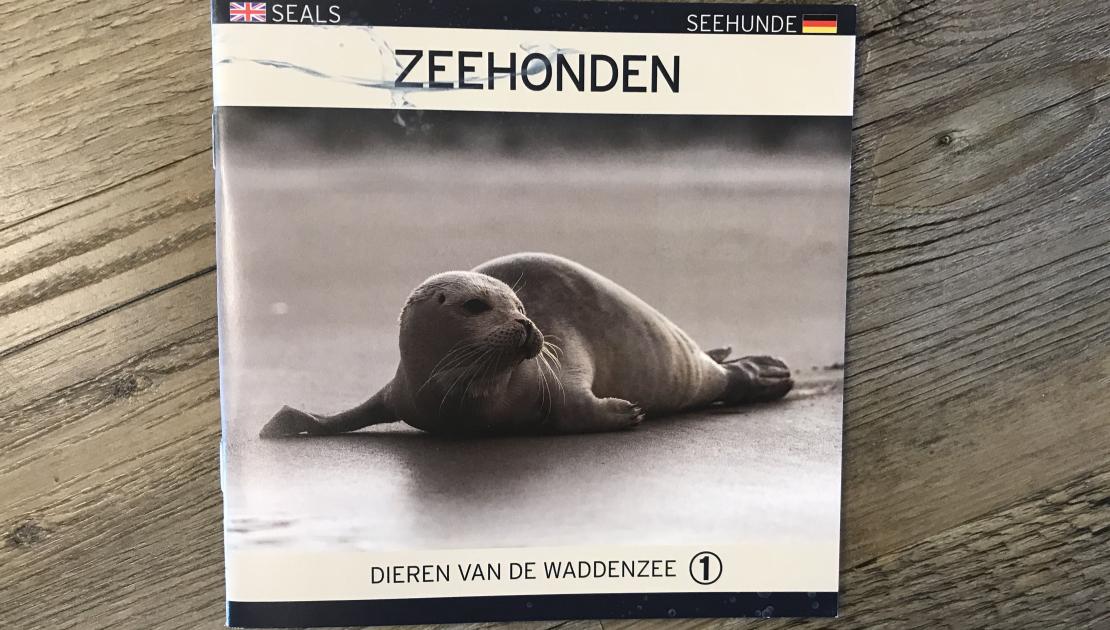 Zeehonden, dieren van de Waddenzee - webshop VVV Ameland